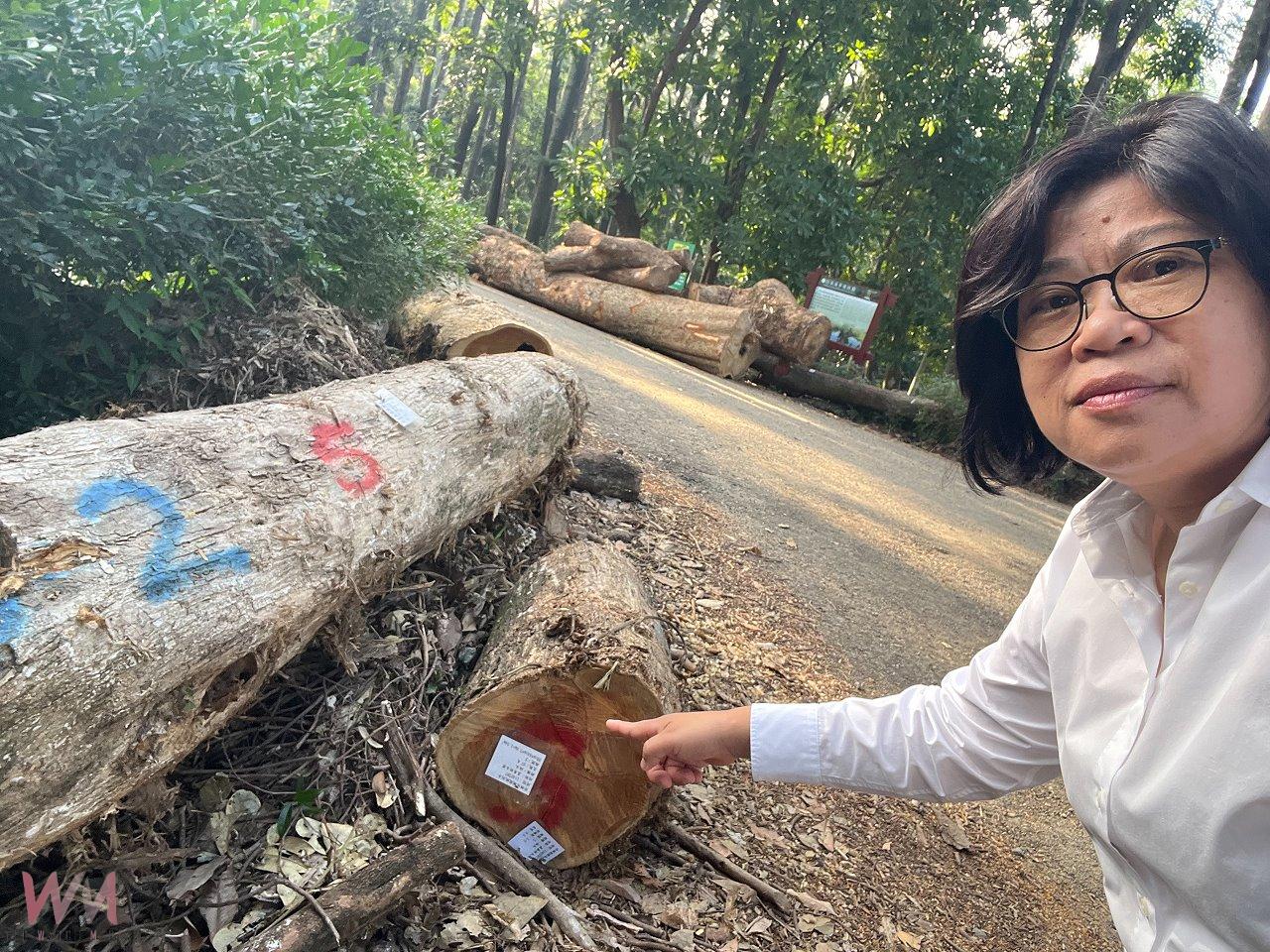 樹木園修復工程延宕　王美惠爭取到農業部統籌經費加速復原 - https://www.watchmedia01.com