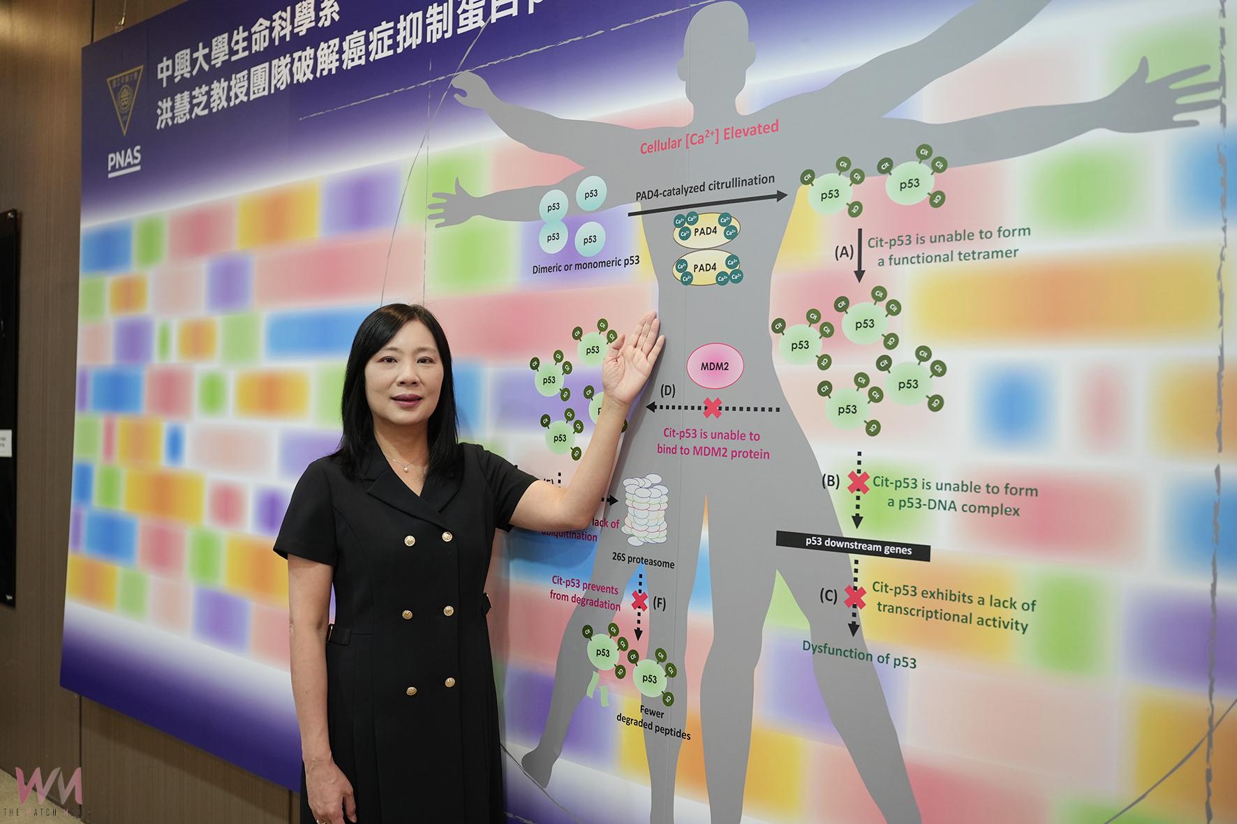 興大洪慧芝教授登上《PNAS》破解癌症抑制蛋白 p53 被「關機」的祕密 - https://www.watchmedia01.com