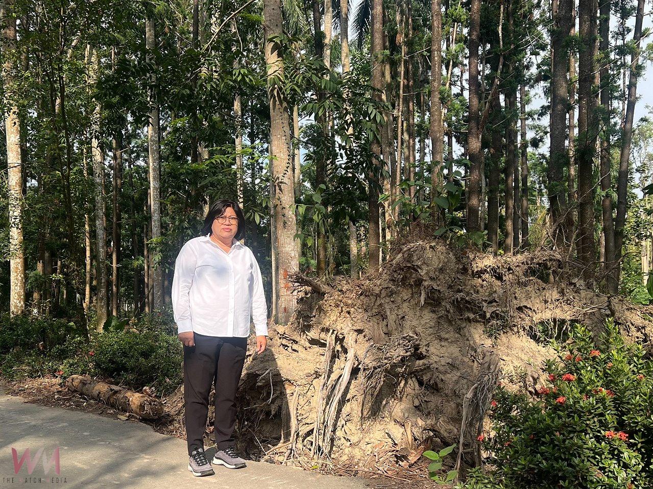 樹木園修復工程延宕　王美惠爭取到農業部統籌經費加速復原 - https://www.watchmedia01.com