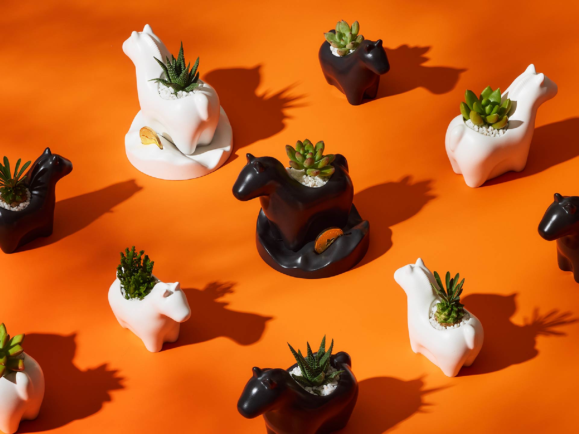 2快樂馬力 快樂馬植栽 - 報新聞 Mega News