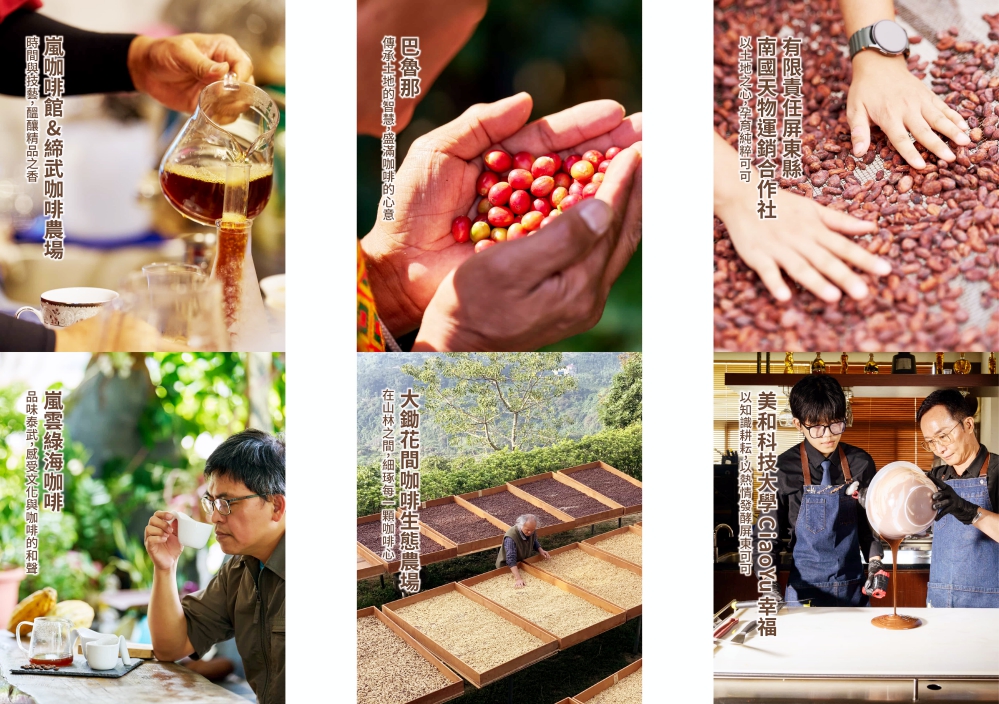 圖2 南部雙黑金選集館 六家代表品牌_Fotor - 報新聞 Mega News