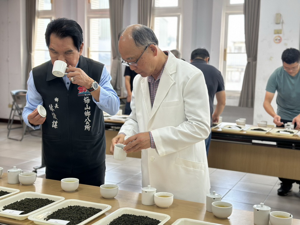 02 - 報新聞 Mega News