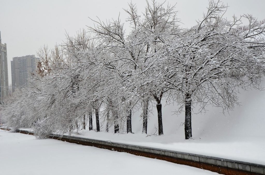 1765772472874 - 報新聞 Mega News